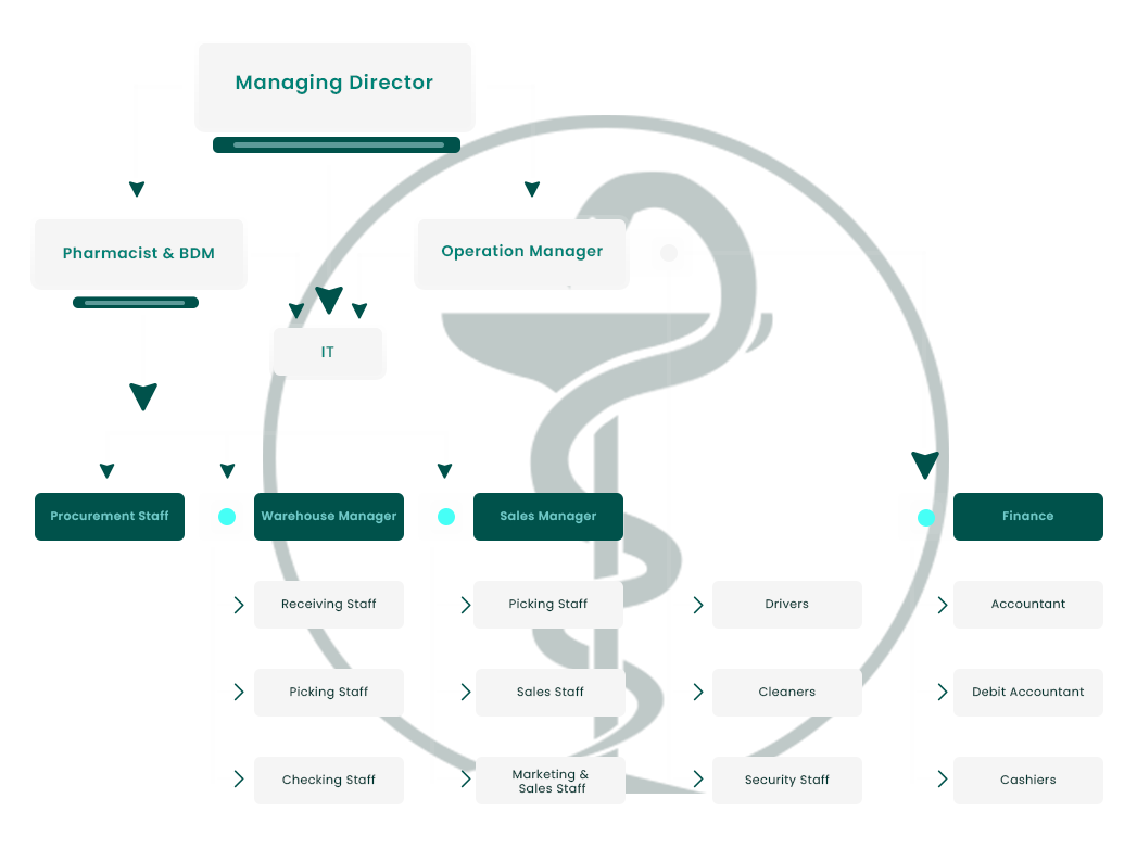 Le Medical Ltd - Company organization